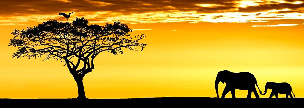 Serengeti savanna with acacia trees and wild elephants during sunset